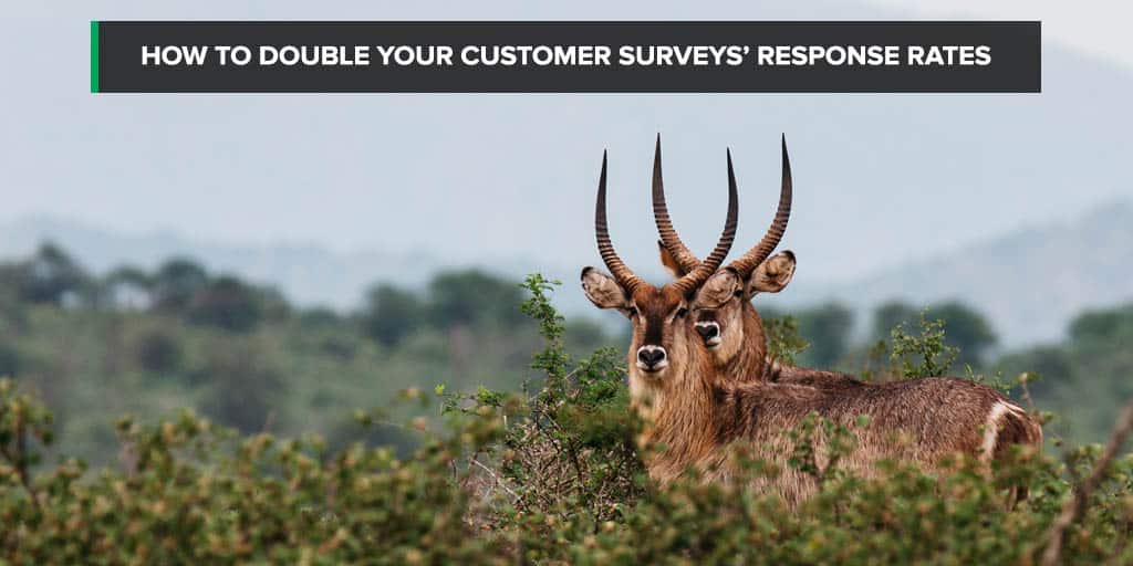 How to double your customer surveys&amp;#039; response rates